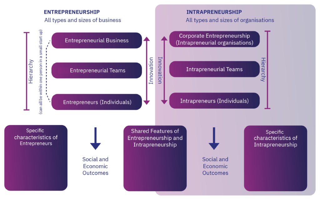 What Is Intrapreneurship? And How Is Intrapreneurship Related To ...