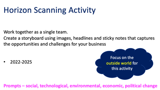 Horizon Scanning activity. Instructions for delegates.