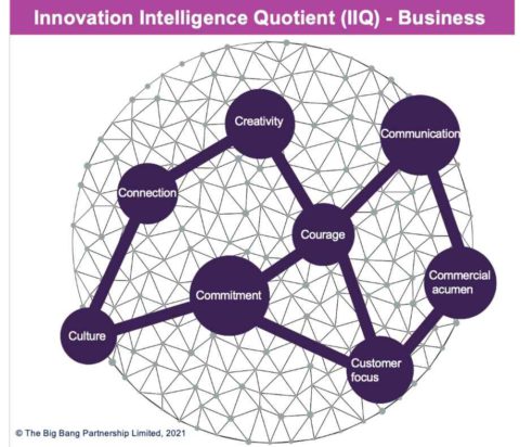 Organizing framework for successful innovation