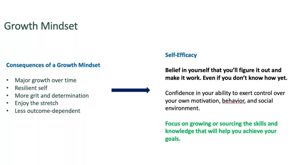 Text to show Growth Mindset and Self-efficacy