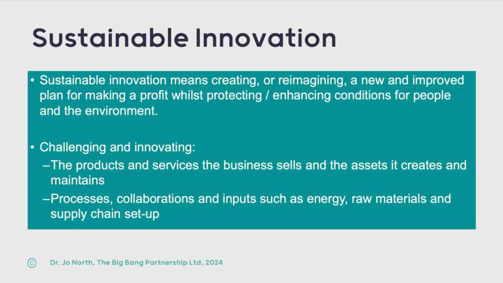 Definition of Sustainable Innovation